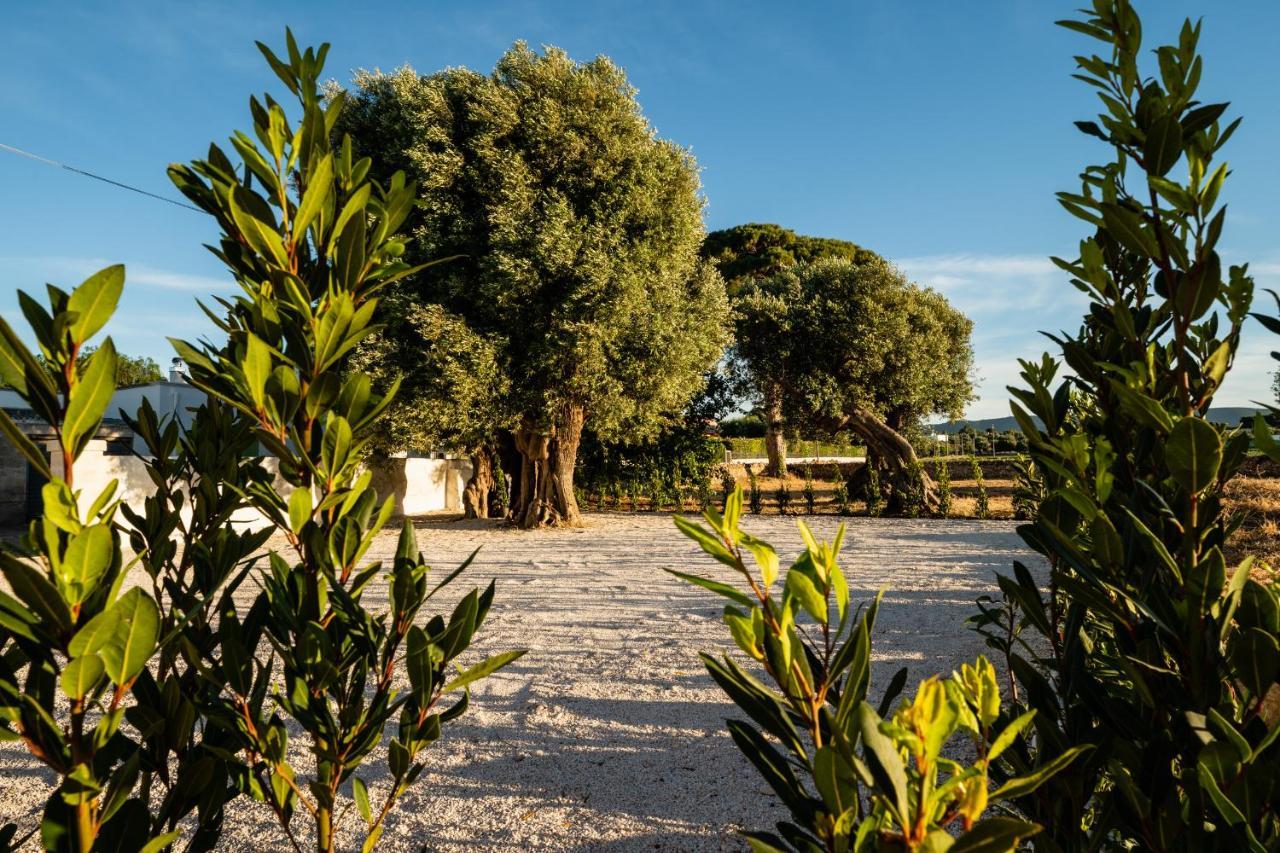 Il Pergolato Sul Mare Vila Monopoli Exterior foto